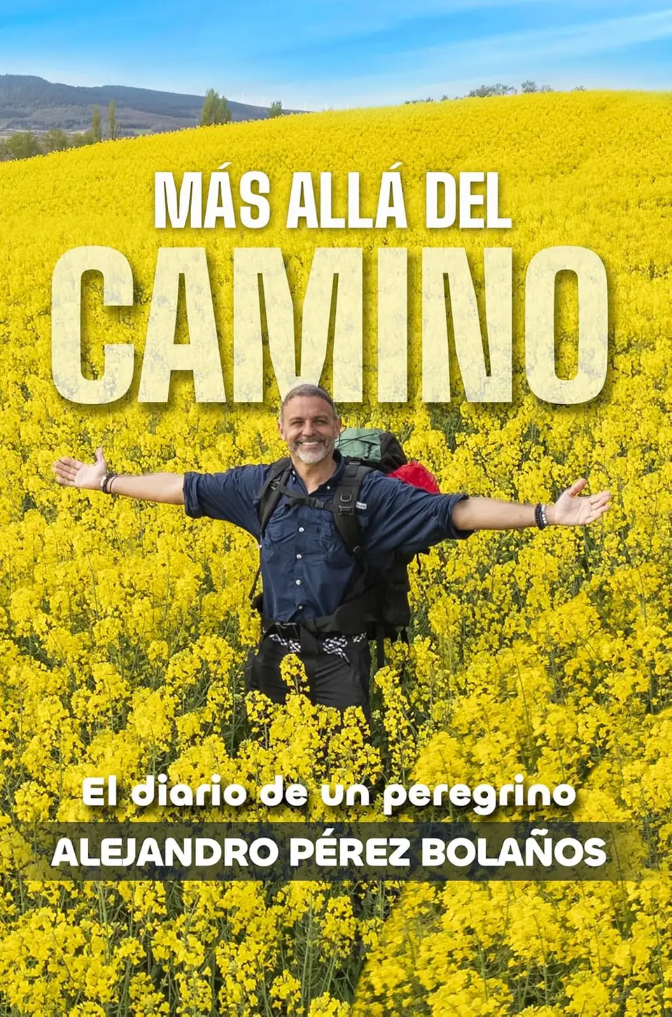 Cover of the book “Más Allá del Camino, a pilgrim's diary”