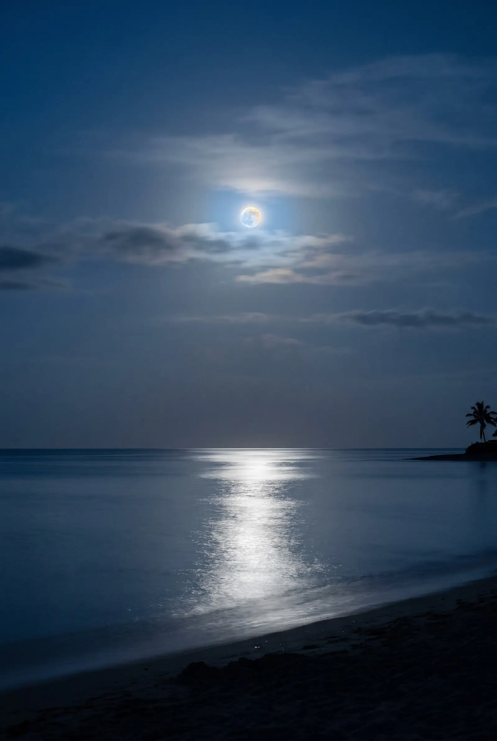 Full moon over a calm sea, its silver path of light across the water