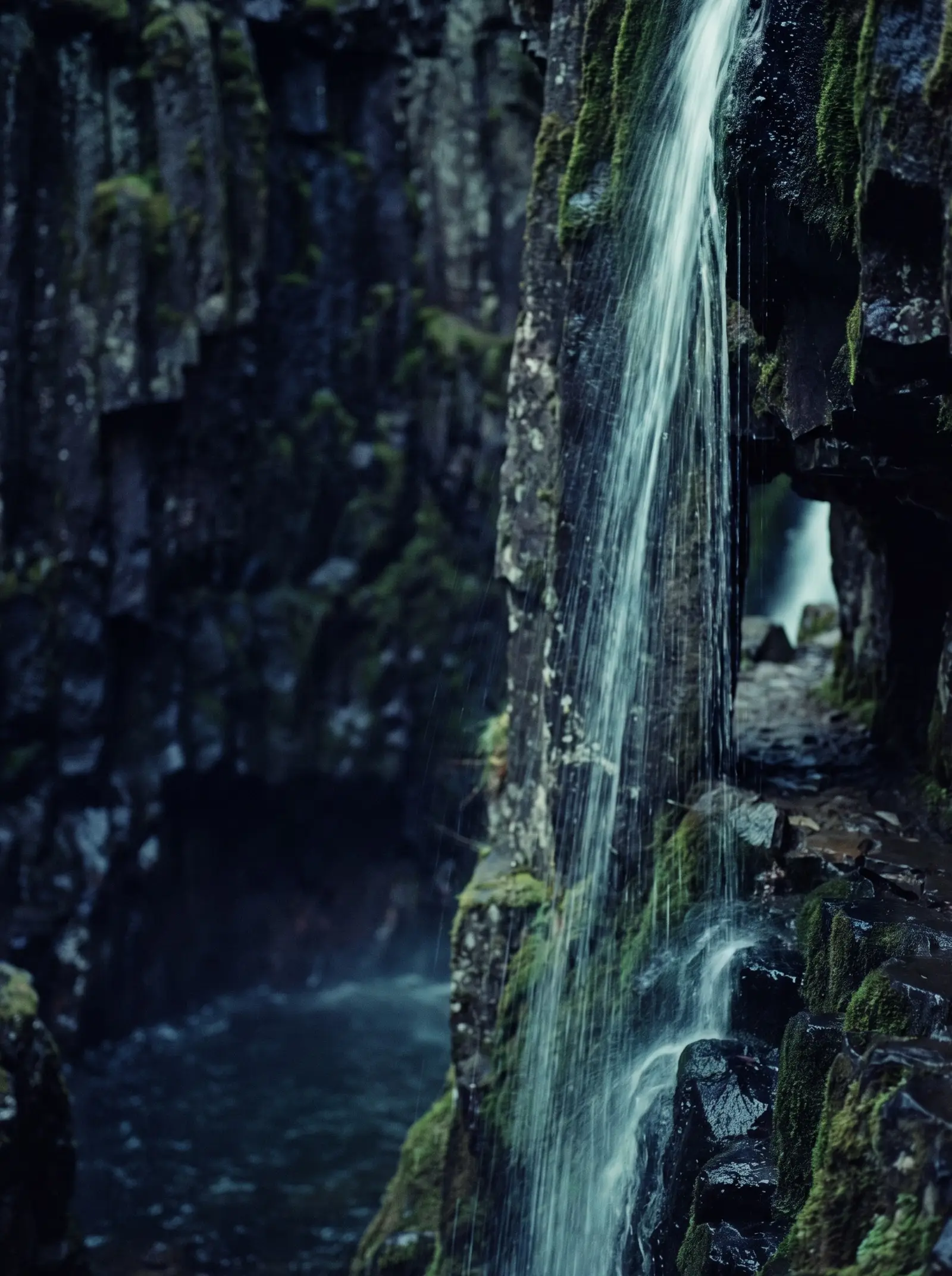 Thin veil waterfall over mossy columnar basalt in a shaded forest gorge