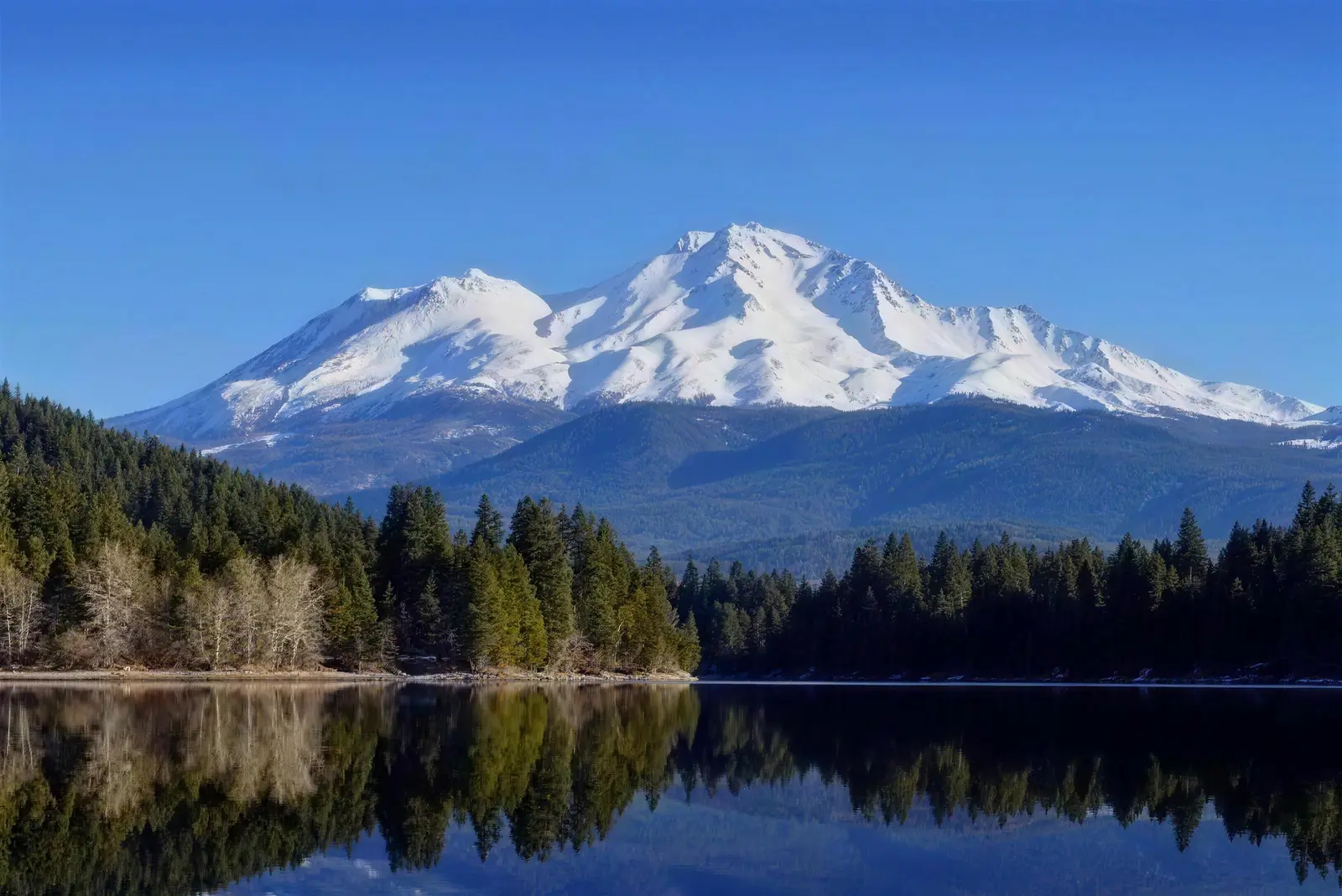 Snow-capped Mount Shasta reflected in Siskiyou Lake